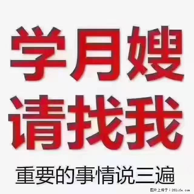 【招聘】月嫂，上海徐汇区 - 职场交流 - 南阳生活社区 - 南阳28生活网 ny.28life.net