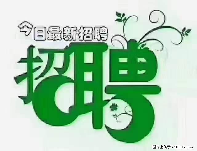 上海隔离酒店招人：55岁以下 男女不限 - 职场交流 - 南阳生活社区 - 南阳28生活网 ny.28life.net