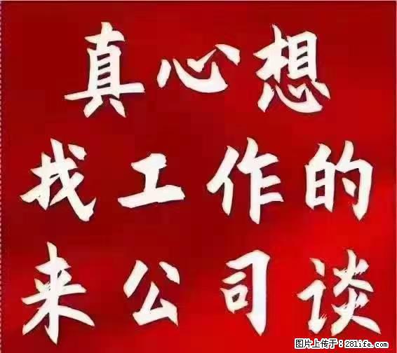 【上海】国企，医院招两名男保安，55岁以下，身高1.7米以上，无犯罪记录不良嗜好 - 职场交流 - 南阳生活社区 - 南阳28生活网 ny.28life.net