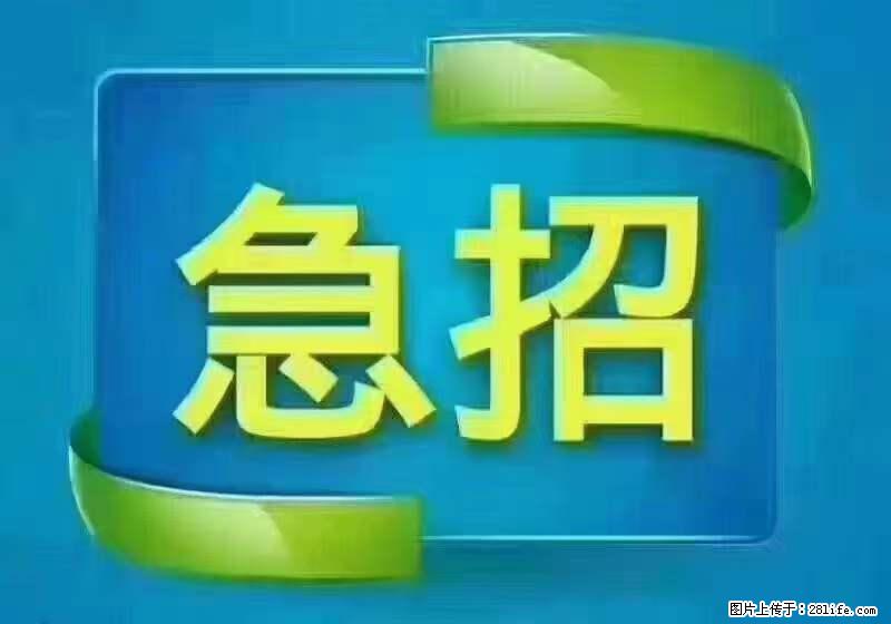 招财务，有会计证的，熟手会计1.1万底薪，上海五险一金，包住，包工作餐，做六休一 - 职场交流 - 南阳生活社区 - 南阳28生活网 ny.28life.net