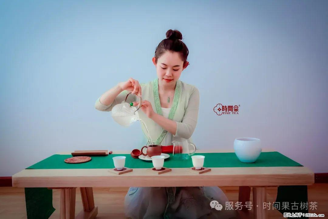 时间果百年古树龙珠普洱生茶 - 购物交流 - 南阳生活社区 - 南阳28生活网 ny.28life.net