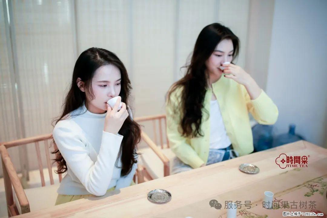 时间果百年古树龙珠普洱生茶 - 购物交流 - 南阳生活社区 - 南阳28生活网 ny.28life.net