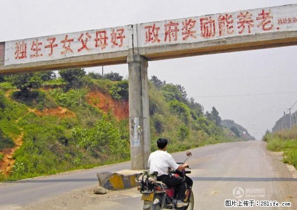 全面两孩政策计划明年元旦起实施 夫妻可延长生育假 - 南阳生活资讯 - 南阳28生活网 ny.28life.net
