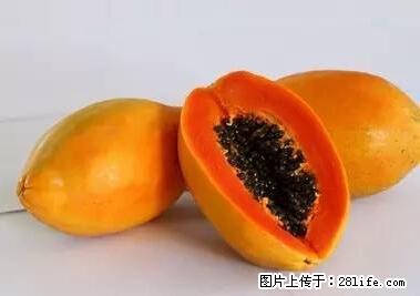 晕车、脚气、牙齿变黄、皮肤粗糙？学会这些三分钟搞定！ - 南阳生活资讯 - 南阳28生活网 ny.28life.net