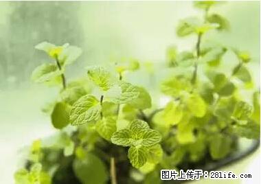 晕车、脚气、牙齿变黄、皮肤粗糙？学会这些三分钟搞定！ - 南阳生活资讯 - 南阳28生活网 ny.28life.net