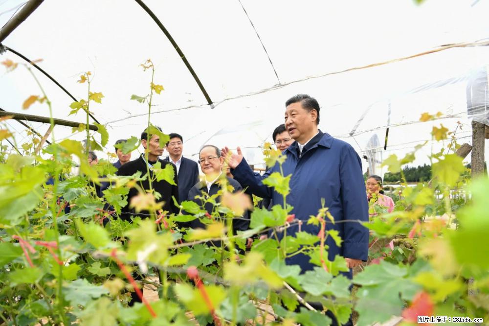 习近平赴广西考察调研 - 南阳生活资讯 - 南阳28生活网 ny.28life.net