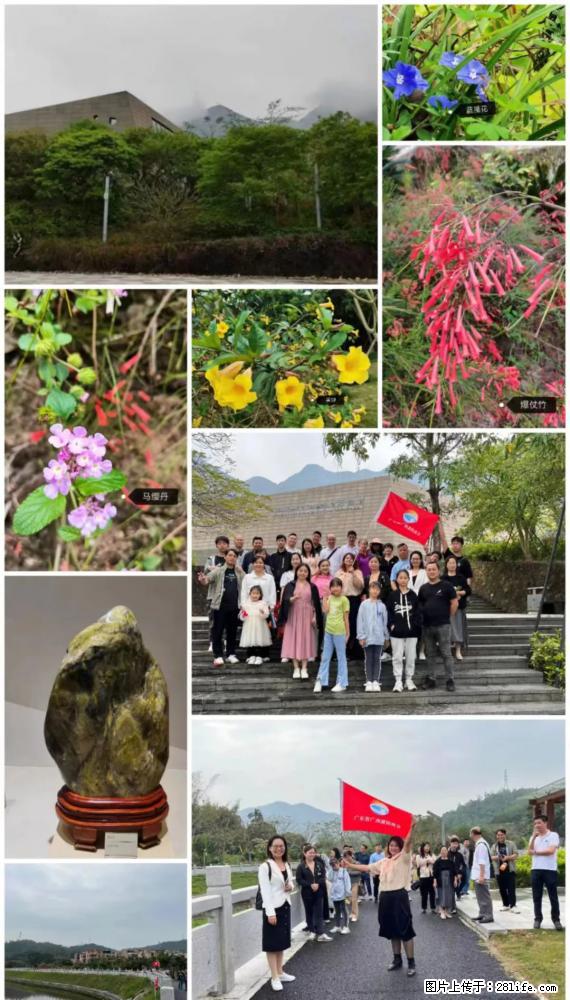 “粤灌文化 美好生活”油茶文化主题活动在广东深圳成功举办 - 南阳生活资讯 - 南阳28生活网 ny.28life.net
