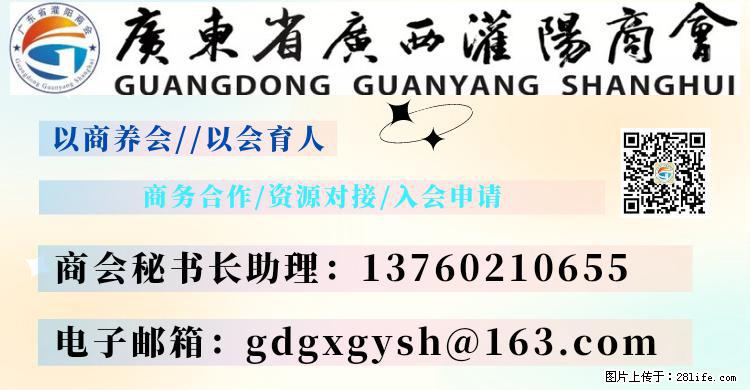 “粤灌文化 美好生活”油茶文化主题活动在广东深圳成功举办 - 南阳生活资讯 - 南阳28生活网 ny.28life.net