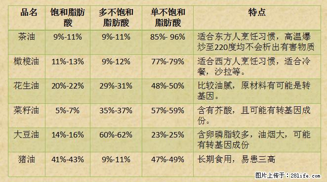 揭秘茶油的5大核心营养成分！被称为人体健康的“守护盾”！ - 南阳生活资讯 - 南阳28生活网 ny.28life.net