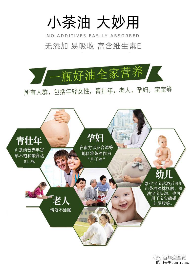 世界没有真相，只有认知，最好的食用油是中国的山茶油！ - 南阳生活资讯 - 南阳28生活网 ny.28life.net