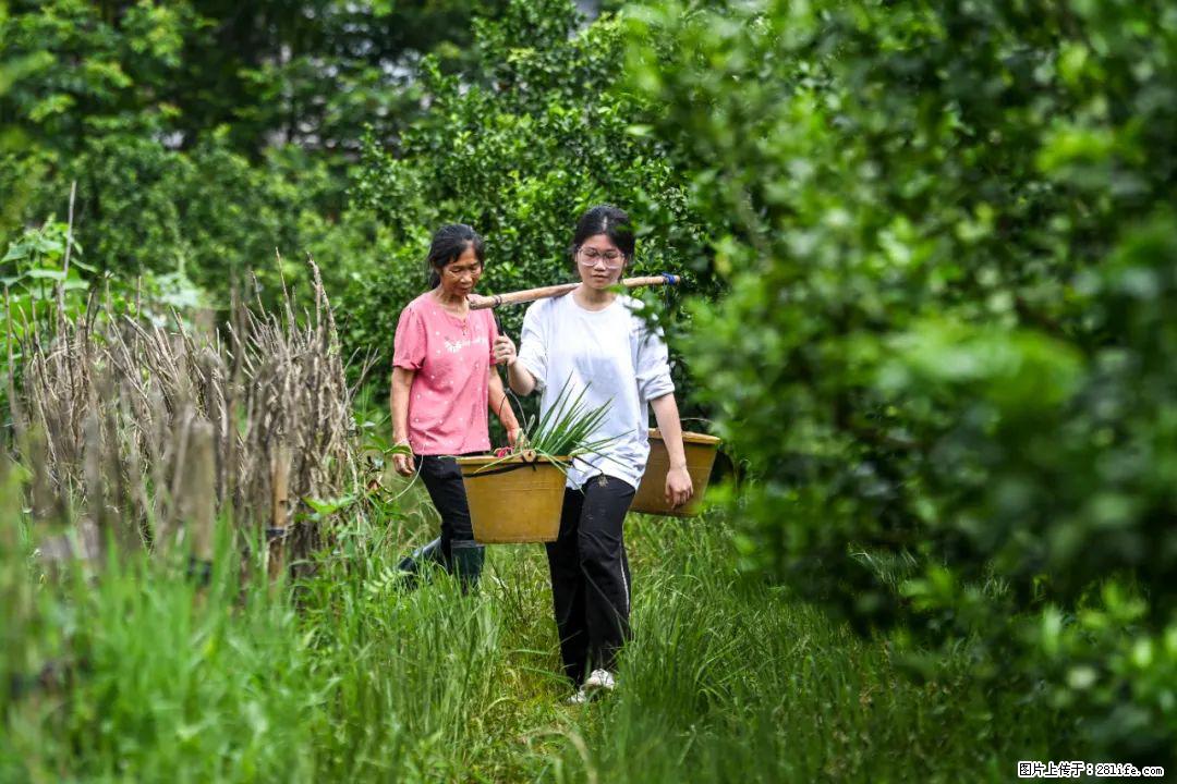 全网追的“扁担女孩”，找了一份暑假工，时薪12元 - 南阳生活资讯 - 南阳28生活网 ny.28life.net