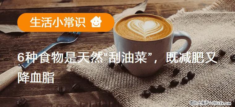 【生活小常识】6种食物是天然“刮油菜”，既减肥又降血脂 - 南阳生活资讯 - 南阳28生活网 ny.28life.net