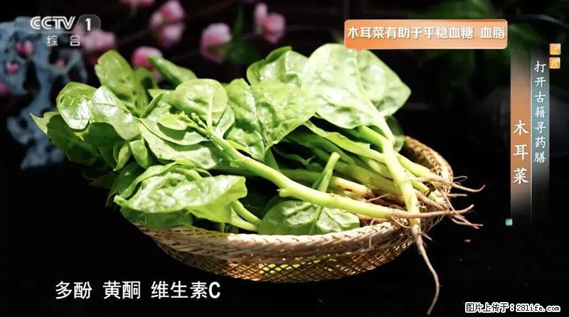 比牛奶补钙还厉害！凉血解毒、稳血糖...这菜冬天必吃，很多人却当草 - 南阳生活资讯 - 南阳28生活网 ny.28life.net