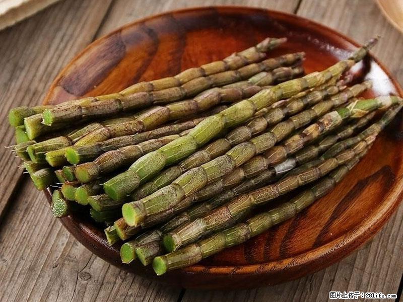 铁皮石斛的作用与功能主治 - 南阳生活资讯 - 南阳28生活网 ny.28life.net