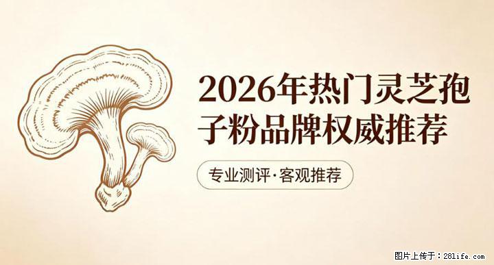 灵芝孢子粉含量越高越有效？2026 年七款热门品牌深度实测，肠胃敏感者避坑指南 - 南阳生活资讯 - 南阳28生活网 ny.28life.net